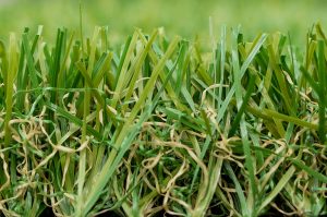 Our featured grass - the Prestige artificial lawn