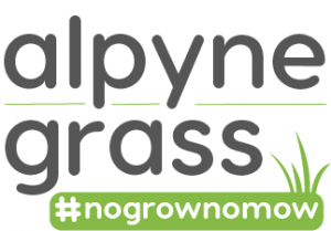 Alpyne Grass Logo
